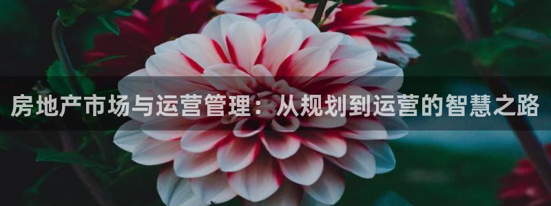 新宝5首页：房地产市场与运营管理：从规划到运营的智慧之路