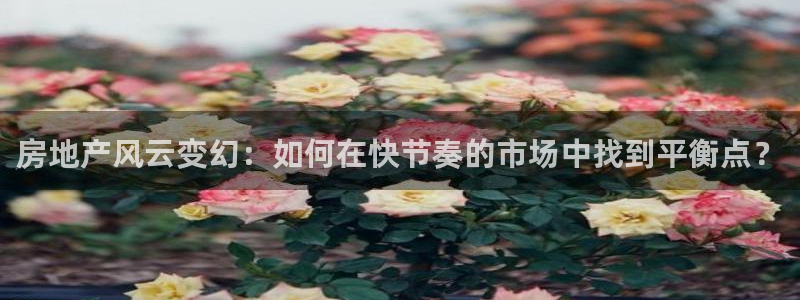 新宝5如何下载：房地产风云变幻：如何在快节奏的市场中找到平衡
