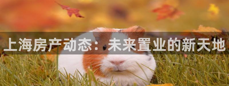 新宝5彩票是正规平台吗：上海房产动态：未来置业的新天地