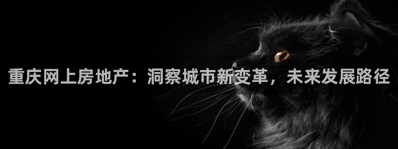 新宝5 888：重庆网上房地产：洞察城市新变革，未来发展路径