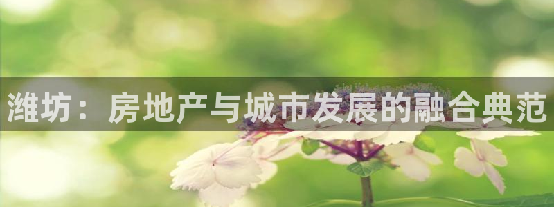新宝5日谢29999：潍坊：房地产与城市发展的融合典范