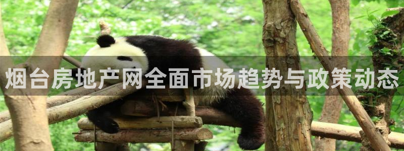 新宝5唯一：烟台房地产网全面市场趋势与政策动态