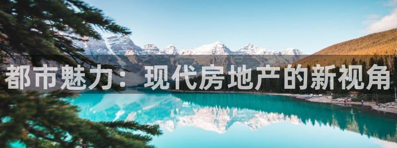 新宝5下载软件：都市魅力：现代房地产的新视角