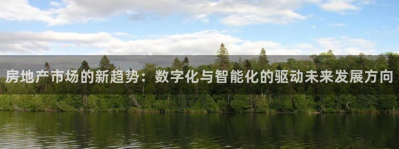 新宝5黑彩：房地产市场的新趋势：数字化与智能化的驱动未来发展