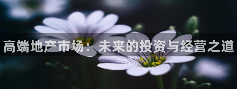 新宝5测试：高端地产市场：未来的投资与经营之道
