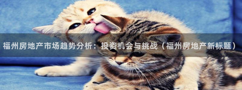 菲律宾新宝5老板：福州房地产市场趋势分析：投资机会与挑战（福
