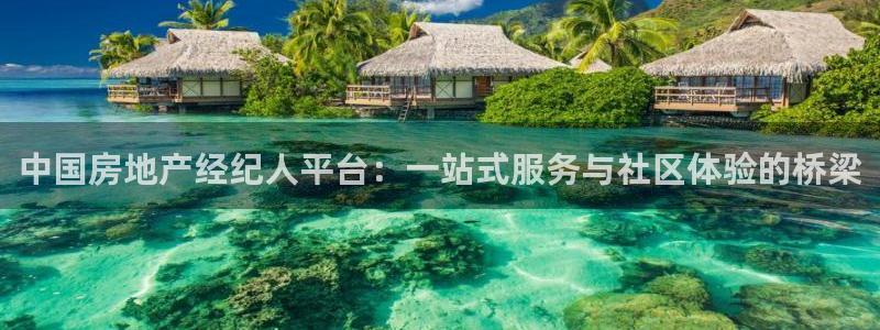 新宝5手机下载：中国房地产经纪人平台：一站式服务与社区体验的
