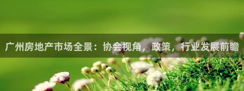 新宝6霸哥5：广州房地产市场全景：协会视角，政策，行业发展前