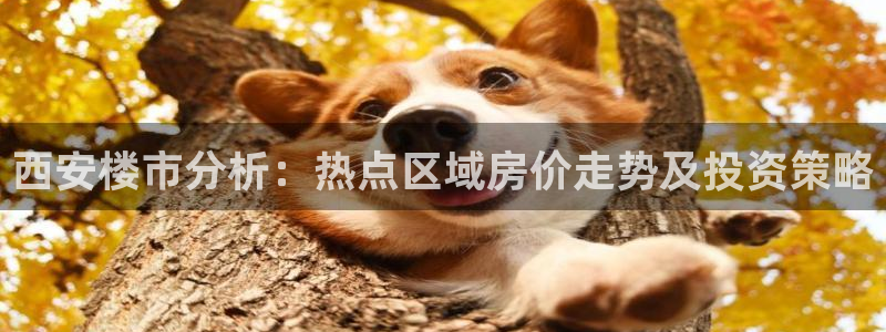 新宝5官网霸：西安楼市分析：热点区域房价走势及投资策略