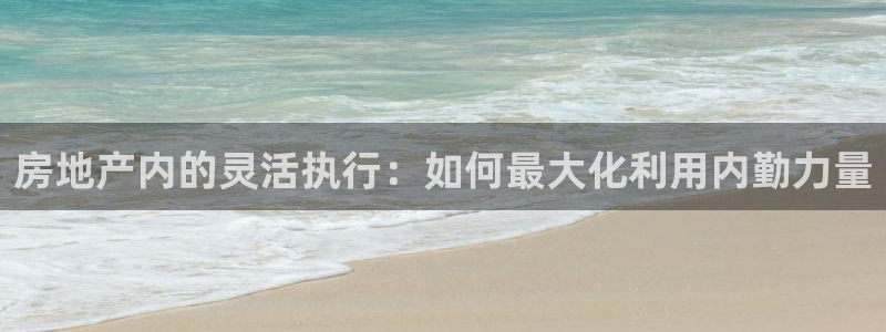 新宝5开户：房地产内的灵活执行：如何最大化利用内勤力量
