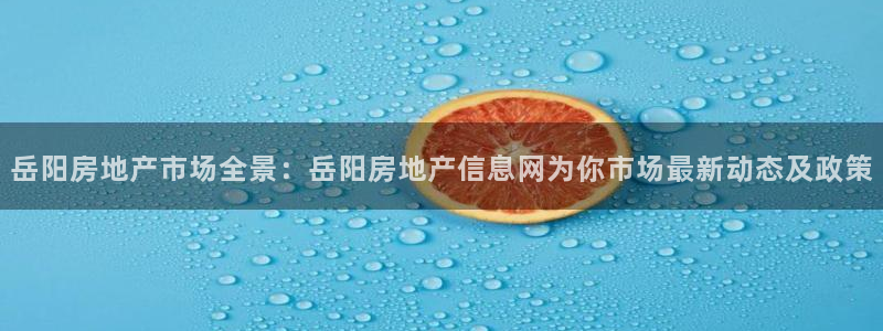 新宝j2O5O5O：岳阳房地产市场全景：岳阳房地产信息网为你
