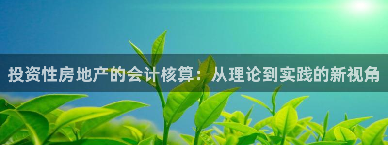 新宝5登录地址：投资性房地产的会计核算：从理论到实践的新视角
