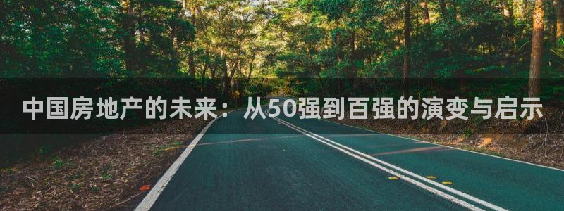 新宝_5：中国房地产的未来：从50强到百强的演变与启示