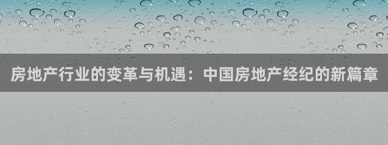 新宝5测速登录：房地产行业的变革与机遇：中国房地产经纪的新篇