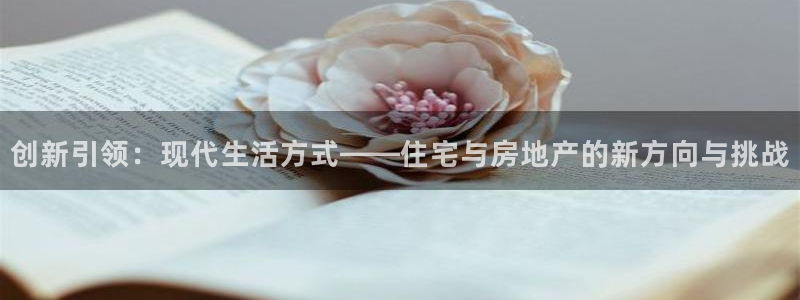 新宝娱乐5入口：创新引领：现代生活方式——住宅与房地产的新方