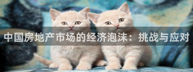 新宝5线路登录检测：中国房地产市场的经济泡沫：挑战与应对