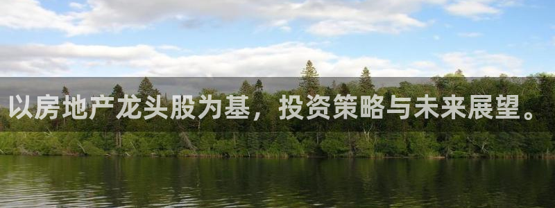 新宝5官网67五壹叁八：以房地产龙头股为基，投资策略与未来展