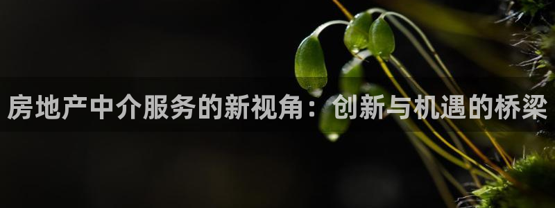 新宝5巅峰：房地产中介服务的新视角：创新与机遇的桥梁