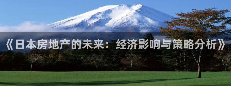 新宝5平台咋样：《日本房地产的未来：经济影响与策略分析》