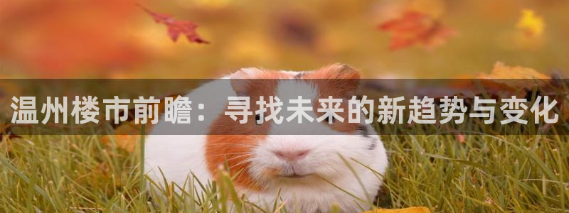 新宝新5：温州楼市前瞻：寻找未来的新趋势与变化