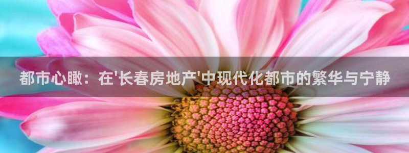 新宝5 注册：都市心瞰：在\'长春房地产\'中现代化都市的繁