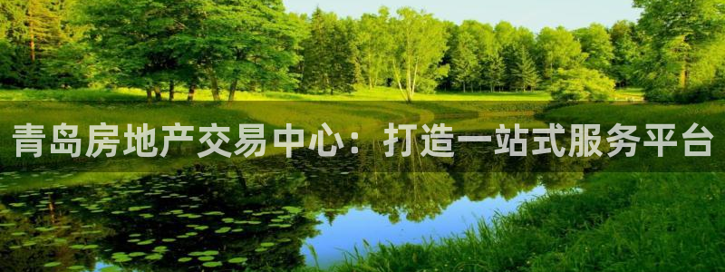 新宝5手机版登录：青岛房地产交易中心：打造一站式服务平台