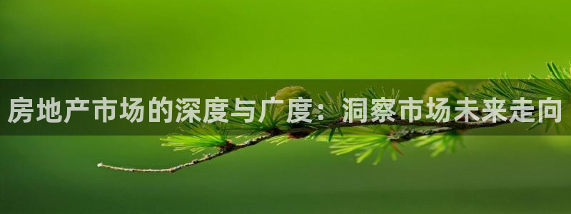 新宝5登录霸：房地产市场的深度与广度：洞察市场未来走向