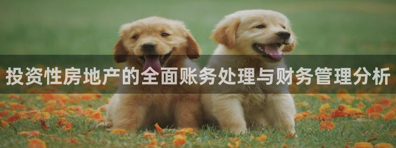 新宝5手机登陆：投资性房地产的全面账务处理与财务管理分析