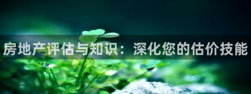 新宝娱乐5：房地产评估与知识：深化您的估价技能