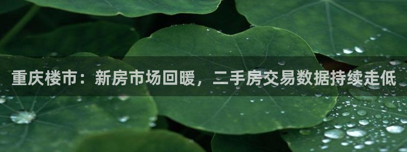 新宝5 测速：重庆楼市：新房市场回暖，二手房交易数据持续走低