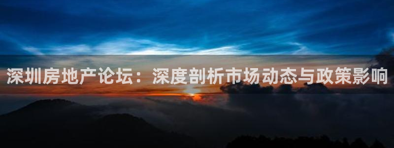 新宝5是谁：深圳房地产论坛：深度剖析市场动态与政策影响