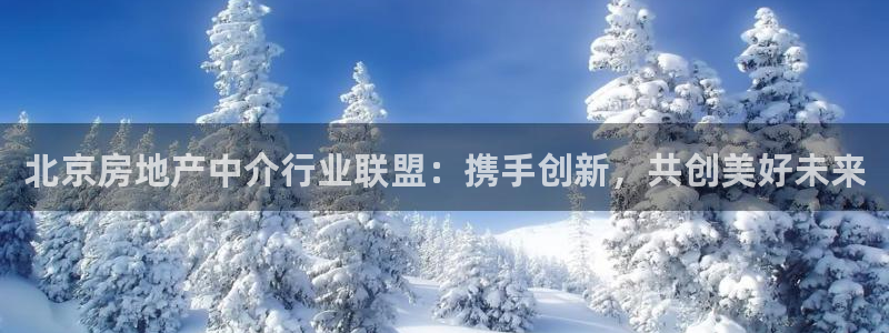 新宝5注册霸：北京房地产中介行业联盟：携手创新，共创美好未来