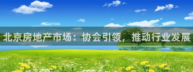 新宝_5：北京房地产市场：协会引领，推动行业发展