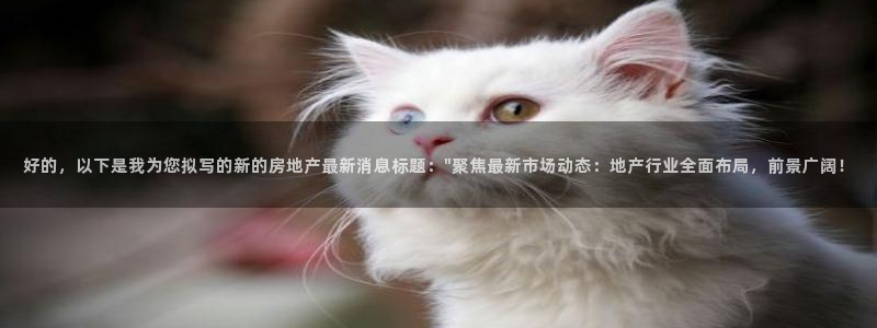 新宝5登录平台：好的，以下是我为您拟写的新的房地产最新消息标