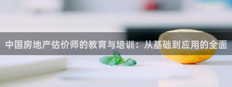 新宝5培训：中国房地产估价师的教育与培训：从基础到应用的全面