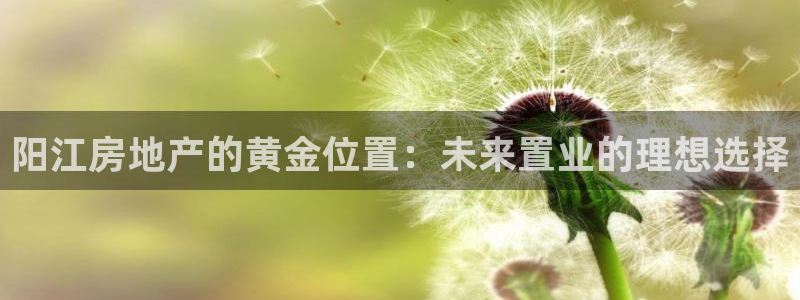 新宝5平台：阳江房地产的黄金位置：未来置业的理想选择