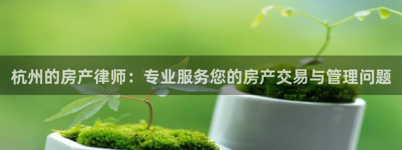新宝5日谢29999：杭州的房产律师：专业服务您的房产交易与