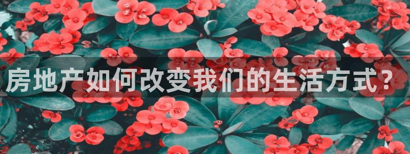 新宝5娱乐同：房地产如何改变我们的生活方式？