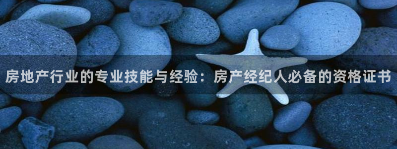 新宝5开户：房地产行业的专业技能与经验：房产经纪人必备的资格