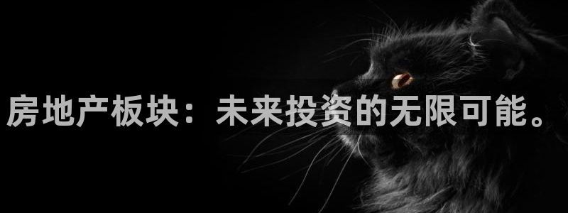 新宝5平台登录下载软件：房地产板块：未来投资的无限可能。