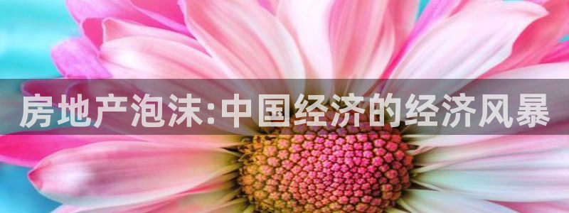 新宝娱乐5入口：房地产泡沫:中国经济的经济风暴