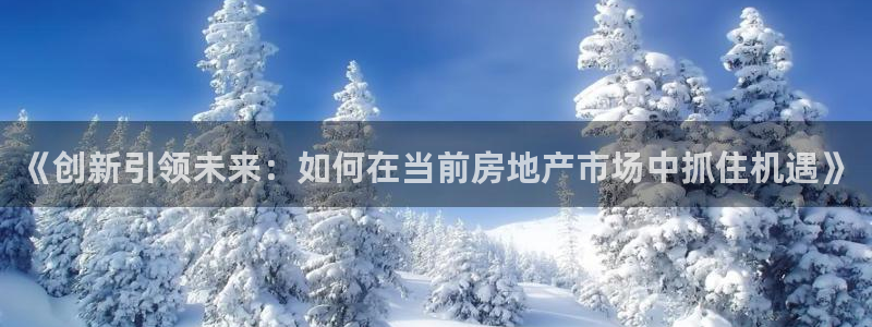 新宝5平台登录：《创新引领未来：如何在当前房地产市场中抓住机