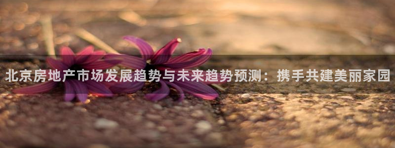 新宝5平台咋样：北京房地产市场发展趋势与未来趋势预测：携手共