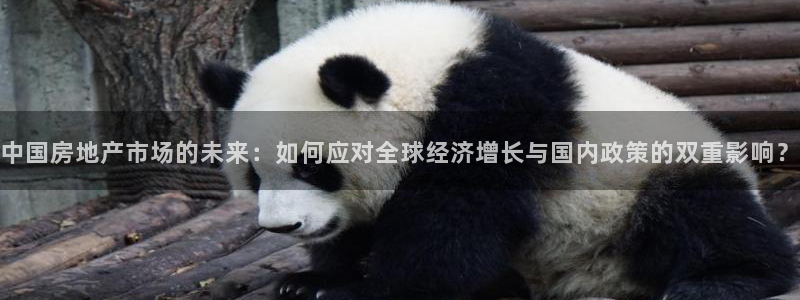 新宝5如何注册：中国房地产市场的未来：如何应对全球经济增长与