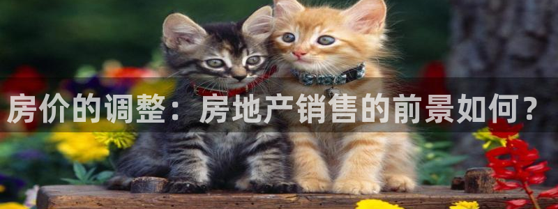 新宝5骗术：房价的调整：房地产销售的前景如何？
