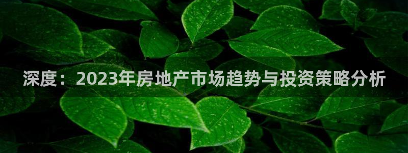 新宝集团新宝5：深度：2023年房地产市场趋势与投资策略分析