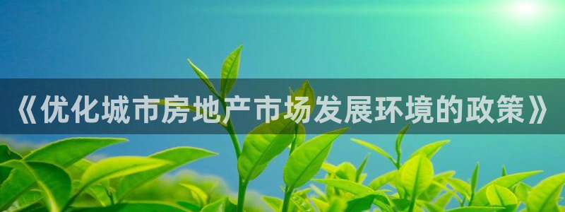 新宝5户端：《优化城市房地产市场发展环境的政策》