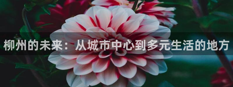 新宝5飞355051：柳州的未来：从城市中心到多元生活的地方
