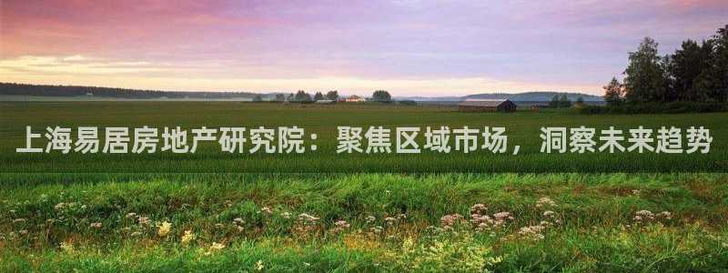 新宝5口67五壹叁八：上海易居房地产研究院：聚焦区域市场，洞