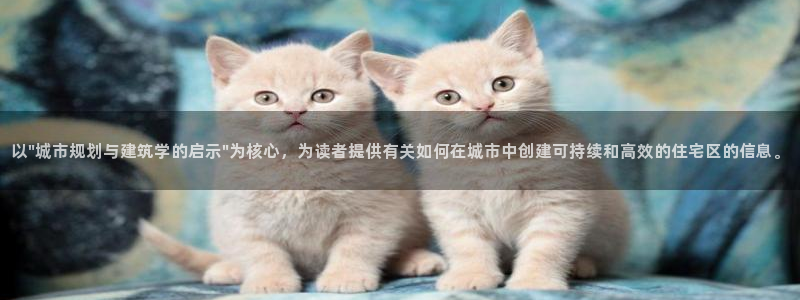 新宝5登录不了：以\